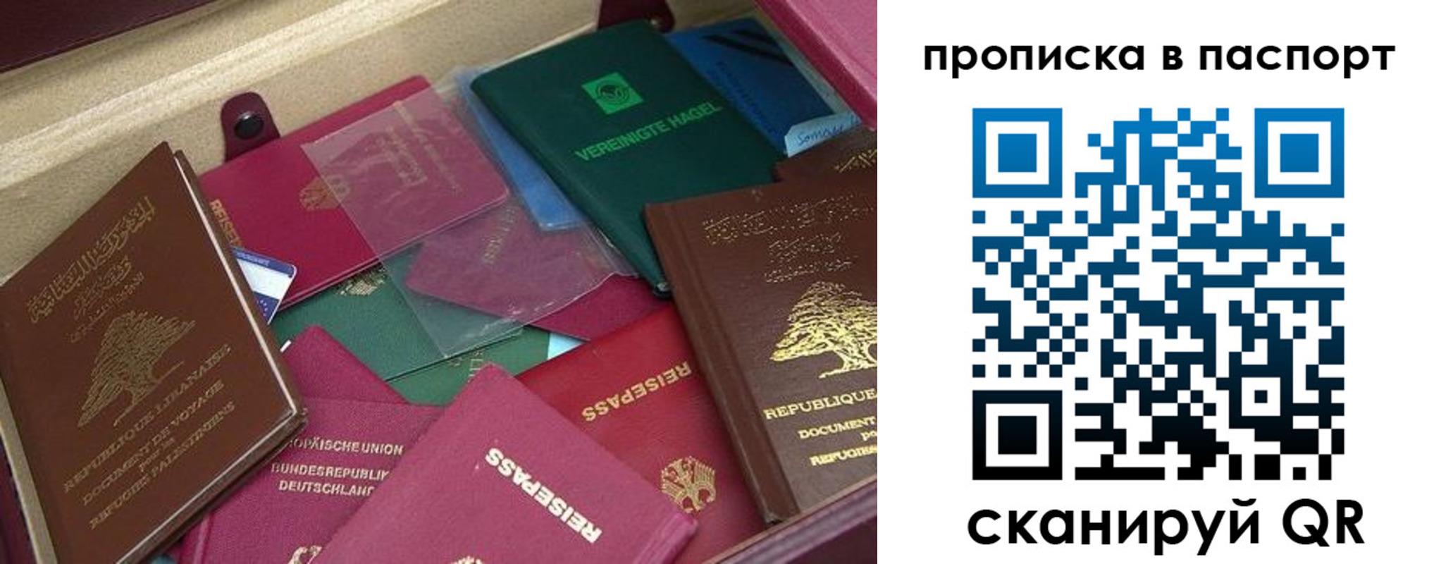 временная регистрация для школы в Старом Осколе